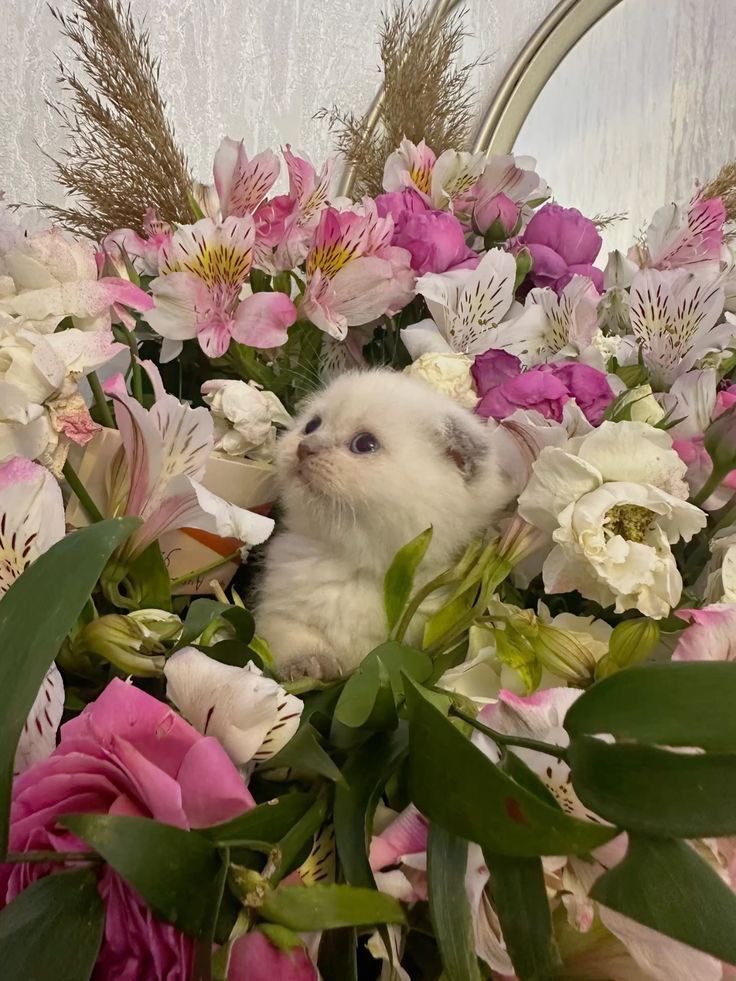 my little valentine.💘