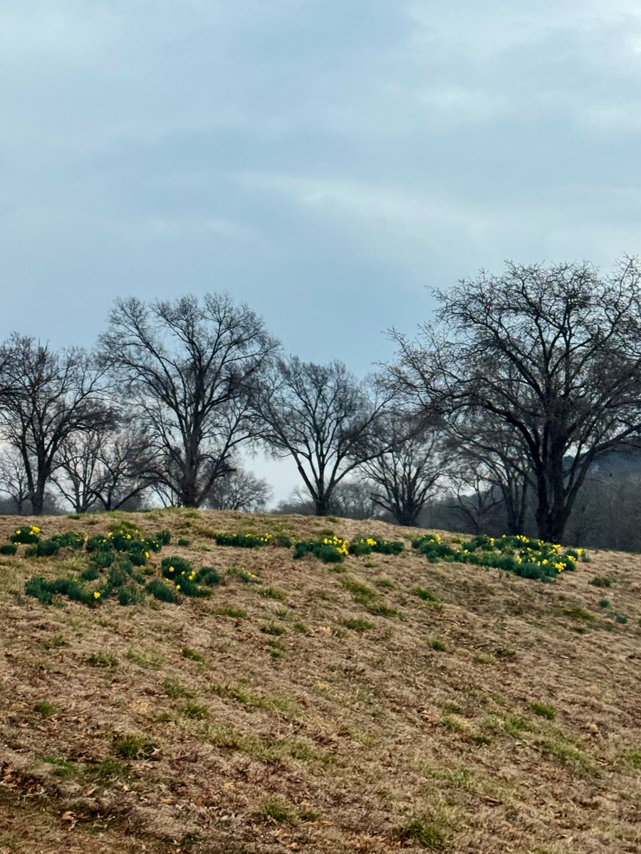 joel_off_air's tweet image. The best way to prepare for inclement weather the day of a race is to train in the rain! 🏃 🌧️  

Two more weeks until the Little Rock Half Marathon! #ARwx #RunAR #halfmarathon