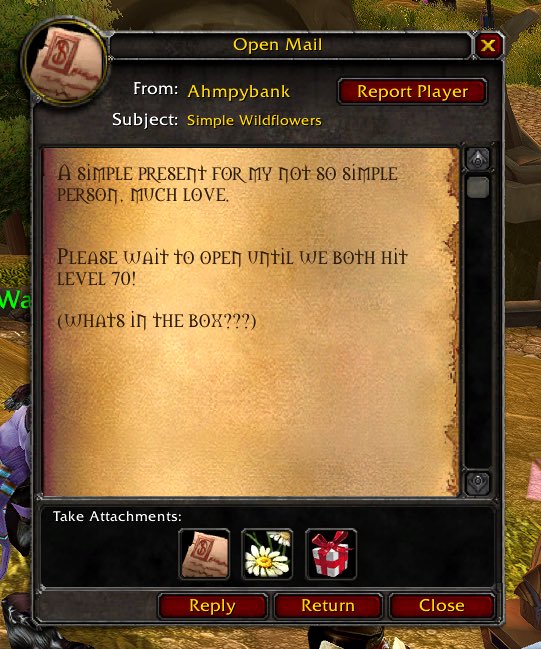 liz 💛 tweet media