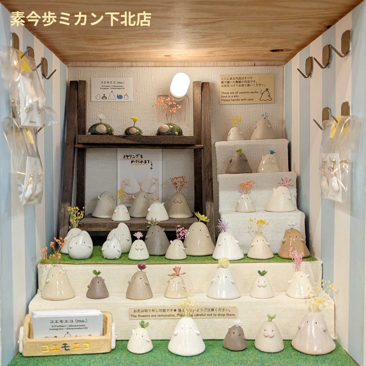 先日【素今歩ミカン下北店】に納品しました！ かめさんとむきっちょ(小