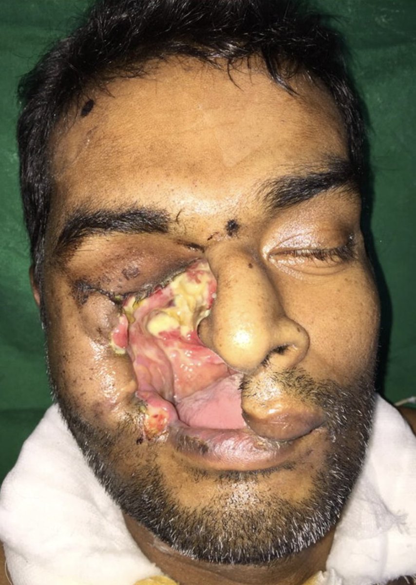 StudyXing Medicine tweet media