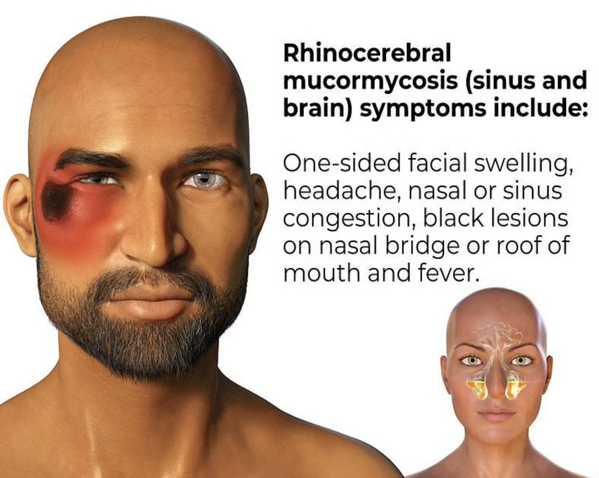 StudyXing Medicine tweet media