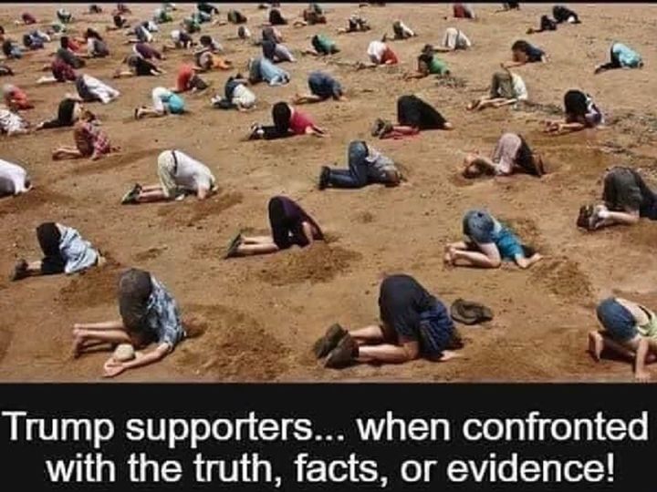 <a href="/Gianl1974/">Gianl1974</a>