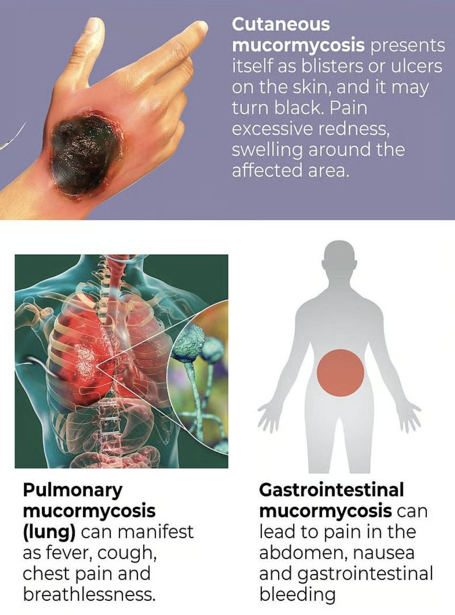StudyXing Medicine tweet media