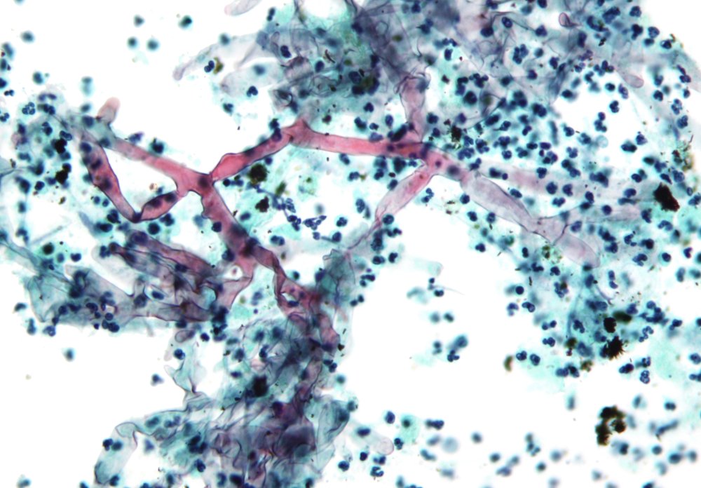 StudyXing Medicine tweet media