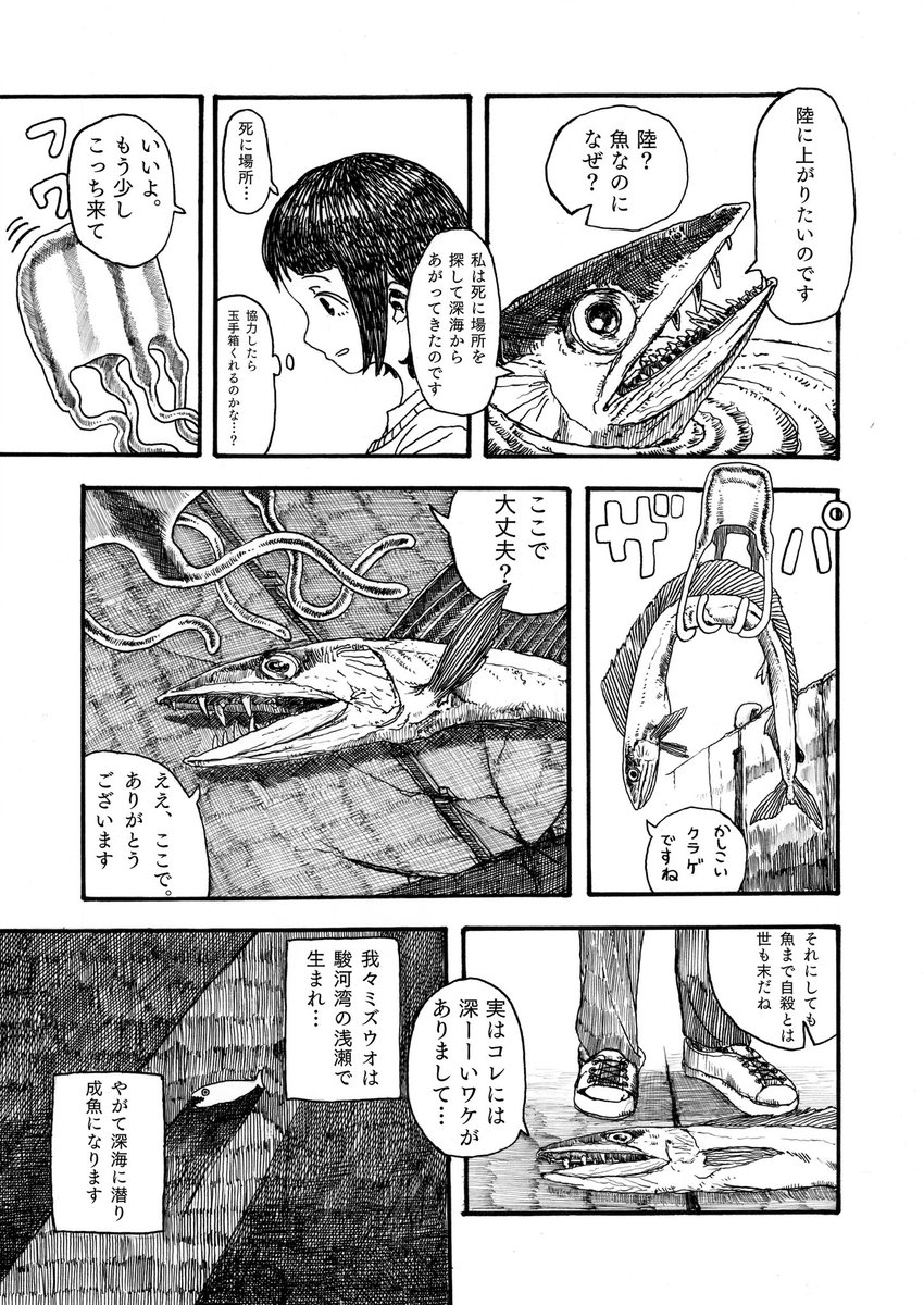 satokatu031's tweet photo. ミズウオの季節なので再掲(1/2) https://t.co/yHuyj44Xcw
