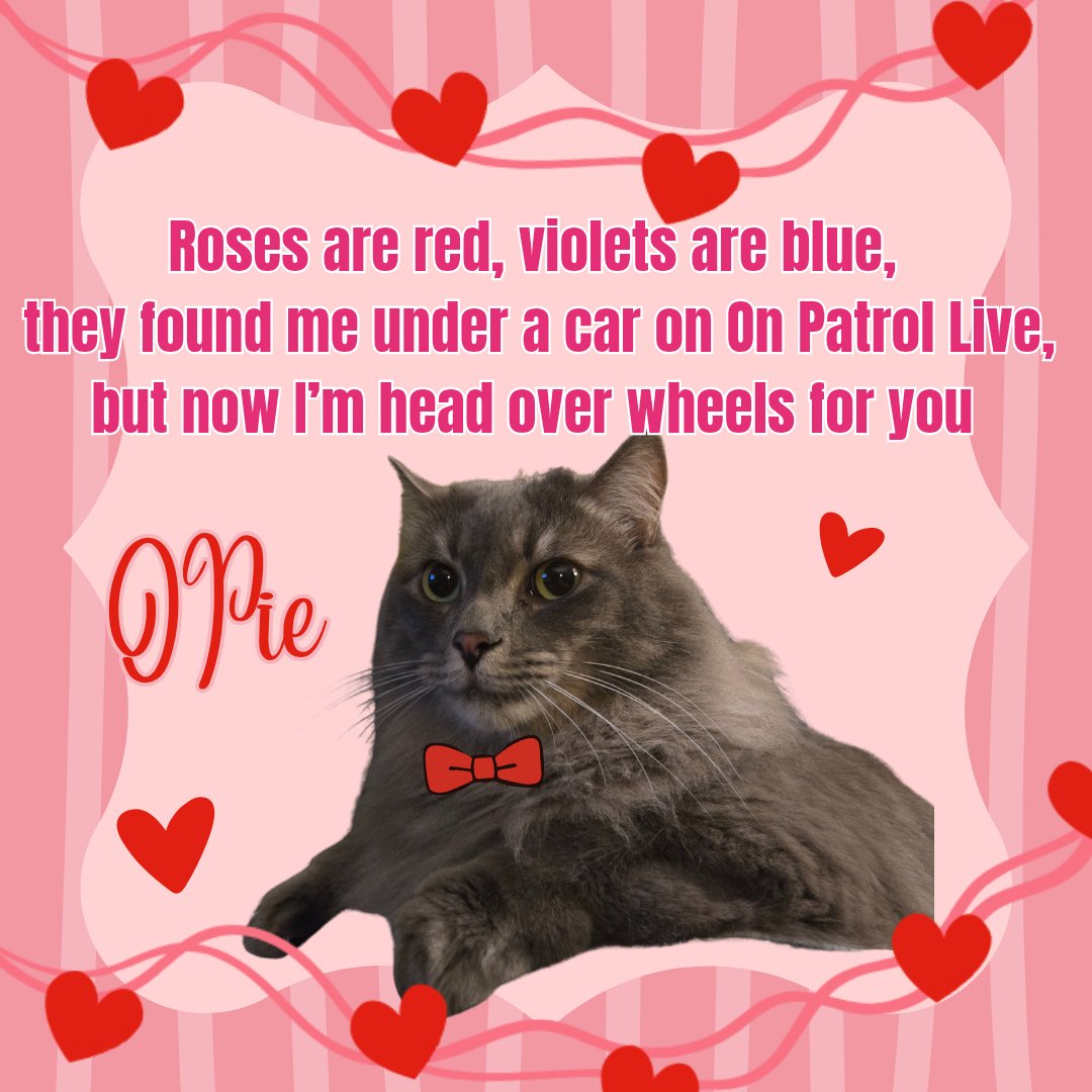 Brittany Bierman tweet media