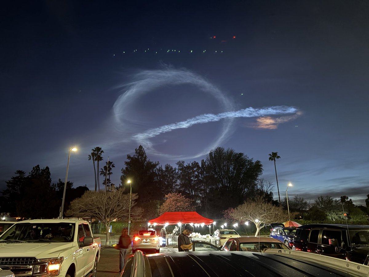 Brett Davern tweet media