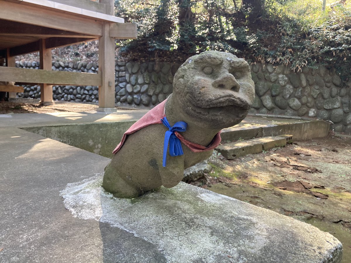 これは・・・、いい！ このタイプは初めて見た・・・。 神社行くと社殿