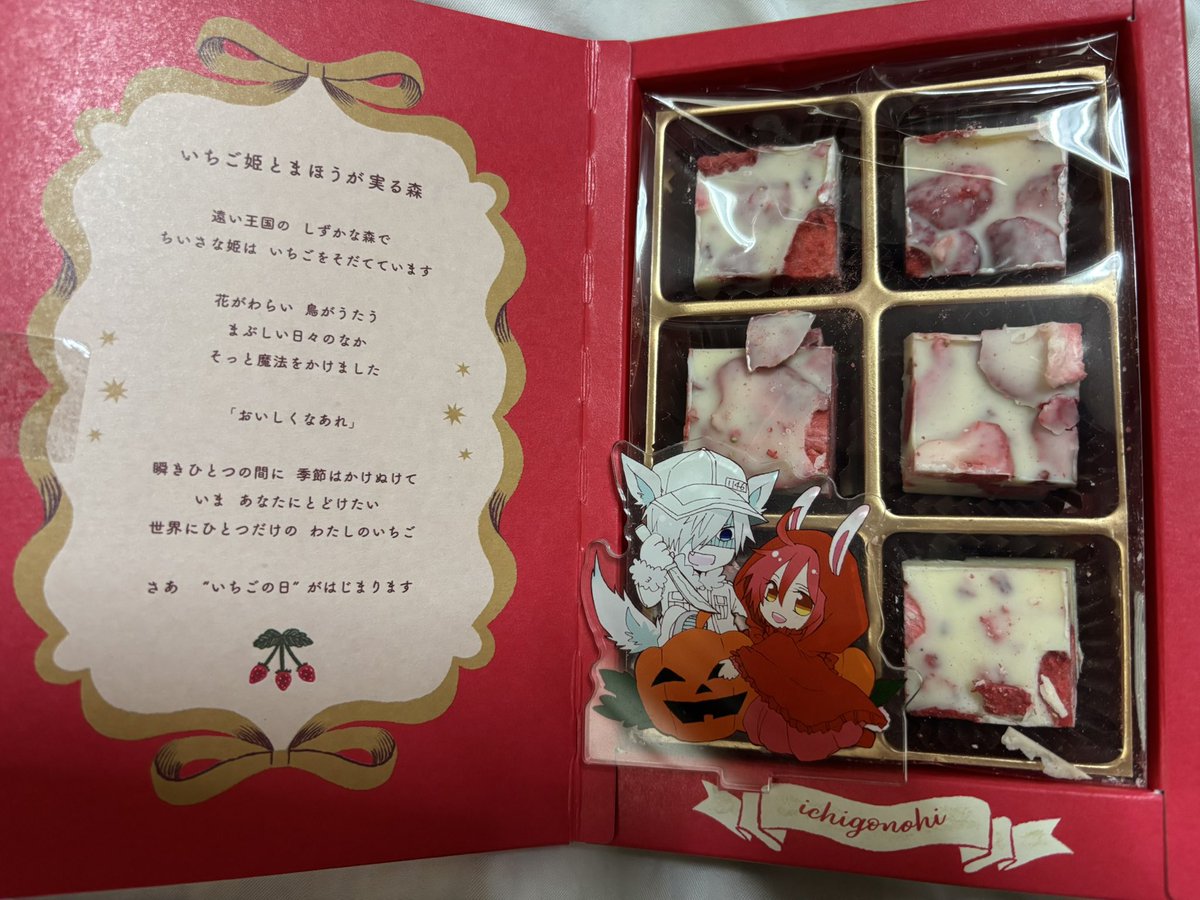 あまりにも白赤ちゃん概念だったので🍓