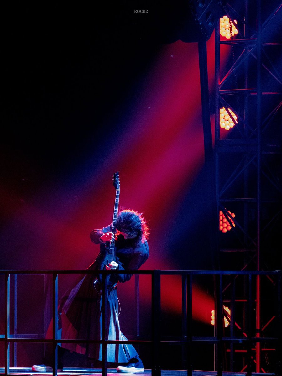 these are possibly the best photos ever taken