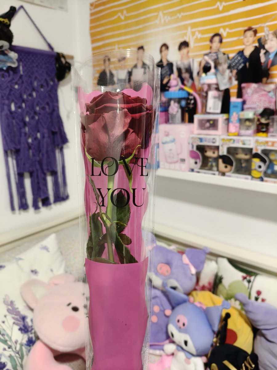 FORJJK7's tweet photo. Yo tampoco me quedé sin mi rosa en el día de San Valentín, gracias a mi prometido por elegirme cada día desde que éramos niños y por ser la persona con la que quiero compartir cada uno de mis días por el resto de mi vida.
¡Te amo muchísimo mi rey precioso! 
🌹💍💘 https://t.co/0yP6I3JrrS