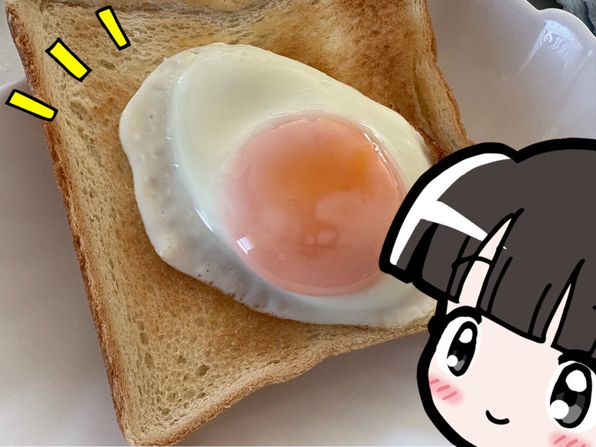 IFEC（国際目玉焼き会議）の リモート会議に参加 （という体で
