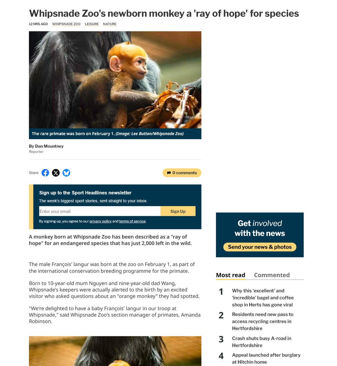 amazingdev02's tweet image. THE RAREST MONKEY ON EARTH WAS JUST BORN TODAY 

They call him "François' langur" and he is 1 OF 2 Orange Monkeys alive right now 

Actually insane timing
thecomet.net/news/25852289.…