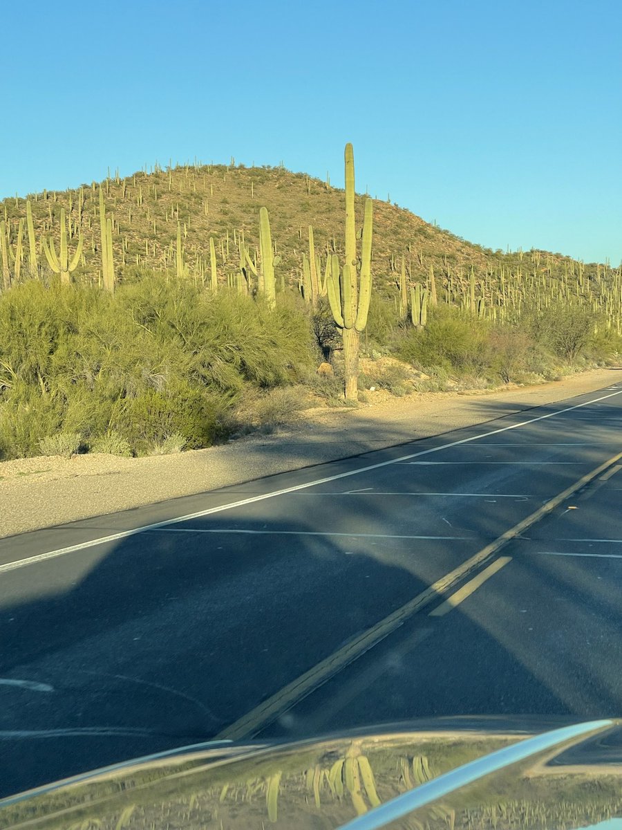serendipitidoda's tweet photo. Arizona is just beautiful. It’s a strange and unique beauty https://t.co/tJc2j0qf9x
