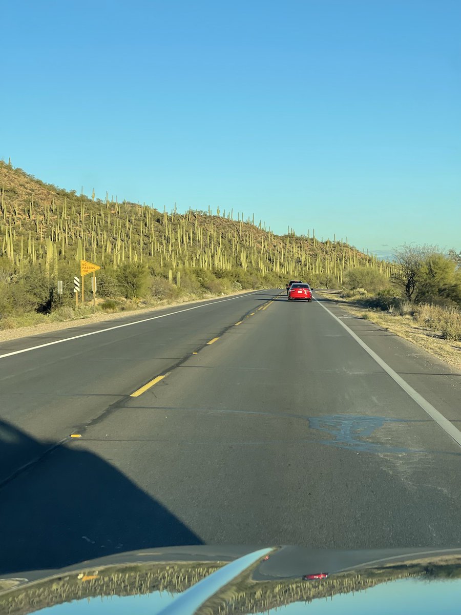 serendipitidoda's tweet photo. Arizona is just beautiful. It’s a strange and unique beauty https://t.co/tJc2j0qf9x