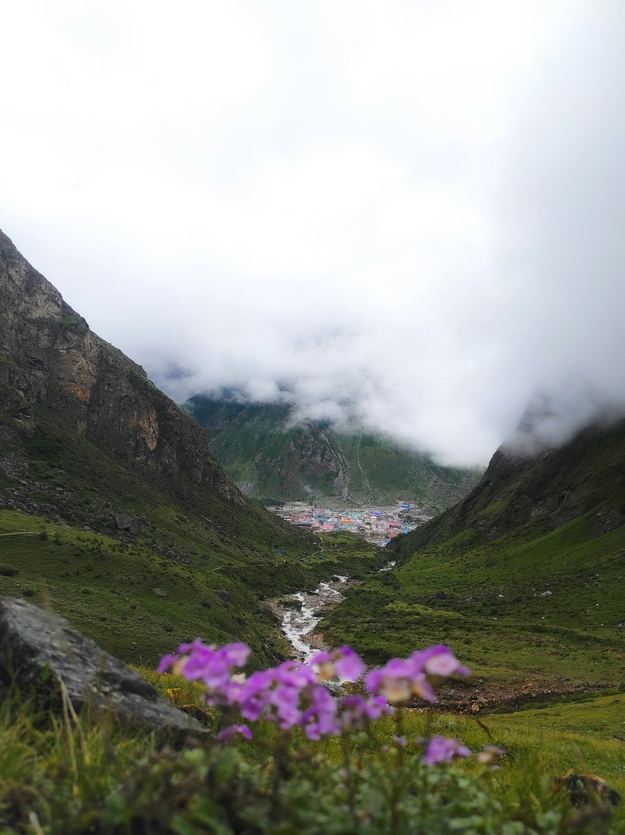 Valley of Flowers – UNESCO wonder 🌸🗻✨

Why visit: Trek through blooming alpine meadows (Jul-Aug)🌺🥾⛰️

Feels: Nature's colorful masterpiece🎨😌

Vibe: Pure bliss for trekkers &amp; photographers 📸💚

#Uttrakhand #flower #HimalayaMagic #incredibleindia