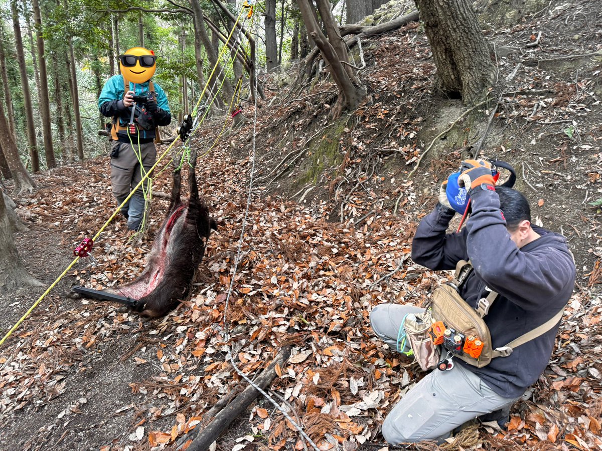 昨日のイノシシを回収するためIRT（イノシシレスキューチーム）を編成
巧みなロープワークで谷底から無事回収☺️
少ない労力で難なく回収できました
たつさん、ぐらおくんありがとう😊