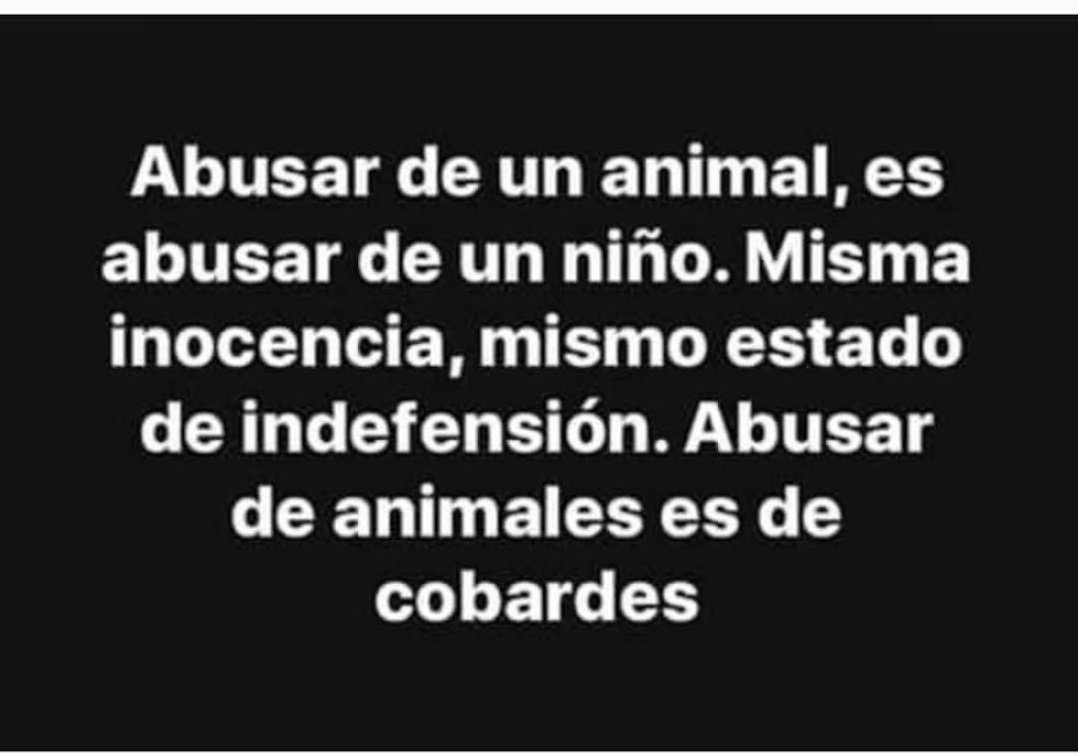 ManuSaenzVolvio's tweet photo. https://t.co/hj1gJRuddR