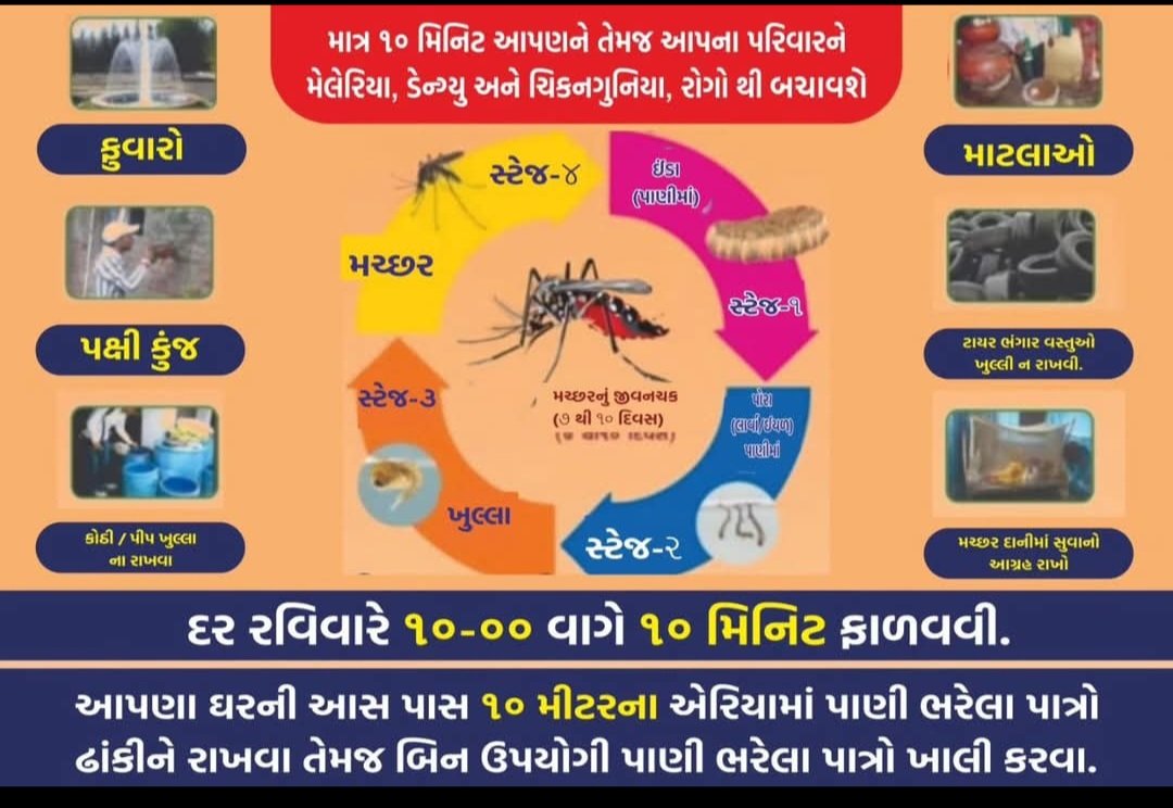 આજે રવિવાર માત્ર દસ મિનિટ આપણને તેમજ આપણા પરિવારને મેલેરીયા ડેન્ગ્યુ અને ચિકનગુનિયા જેવા વાહકજન્ય રોગોથી બચાવશે. આપણા ઘર ની આસપાસ દસ મીટર ના એરિયા માં પાણી ભરેલા પાત્રો ઢાંકી ને રાખવા તેમજ બિન ઉપયોગી પાણી ભરેલા પાત્રો ખાલી કરવા જેથી મચ્છર ઉત્પતિ અટકાવી શકાય.
<a href="/ddo/">DDO</a> 
<a href="/collectorkut/">Collector & DM, Kachchh</a>