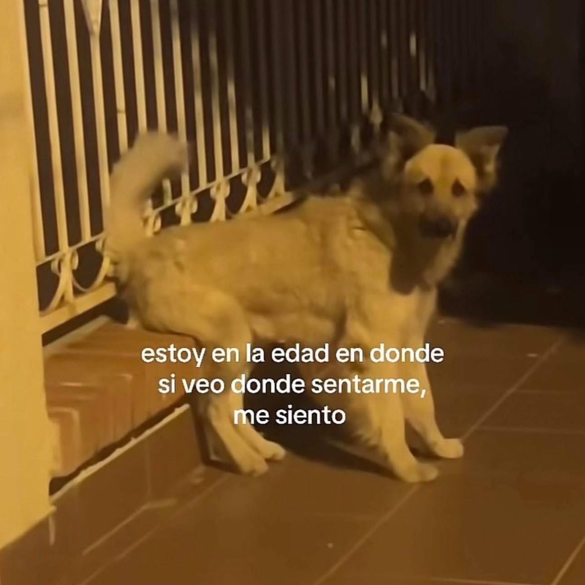 🌙 mini textos (@soyminitextos) on Twitter photo 