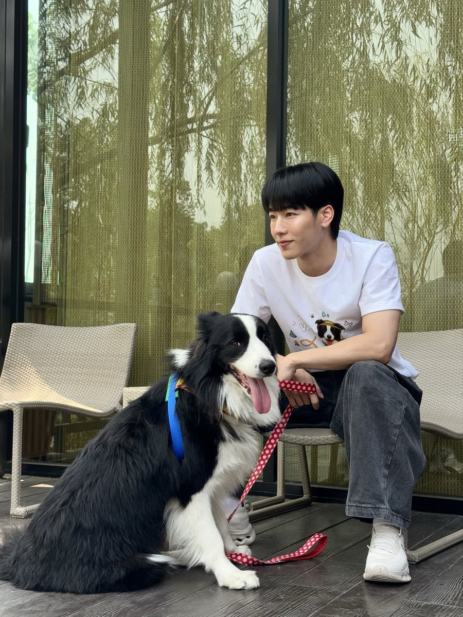 VIF_FC's tweet image. ✨Happy Birthday🎂🎉 
"แซมเมอร์" ครบ 3 ขวบแล้วน้า
โตขึ้นอีกปี ขอให้ปีนี้แข็งแรง แฮปปี้เต็มร้อย 
พกความน่ารักๆแบบนี้ไปทุกๆที่เลยน้า 💘🐶

#HBD3rdSAMMERDAY #วิฟให้ทุกวันเป็นวันที่ดี #VIFEveryDayaGoodDay #sammerbcollie #warwanarat