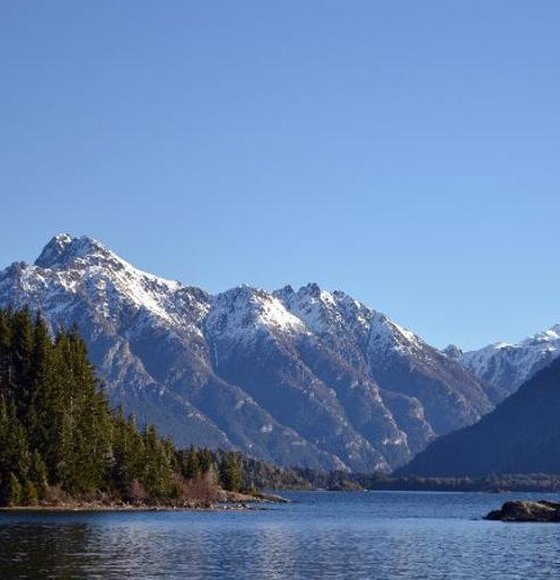 sloth_support's tweet image. 形がまずい 🧍‍♀️