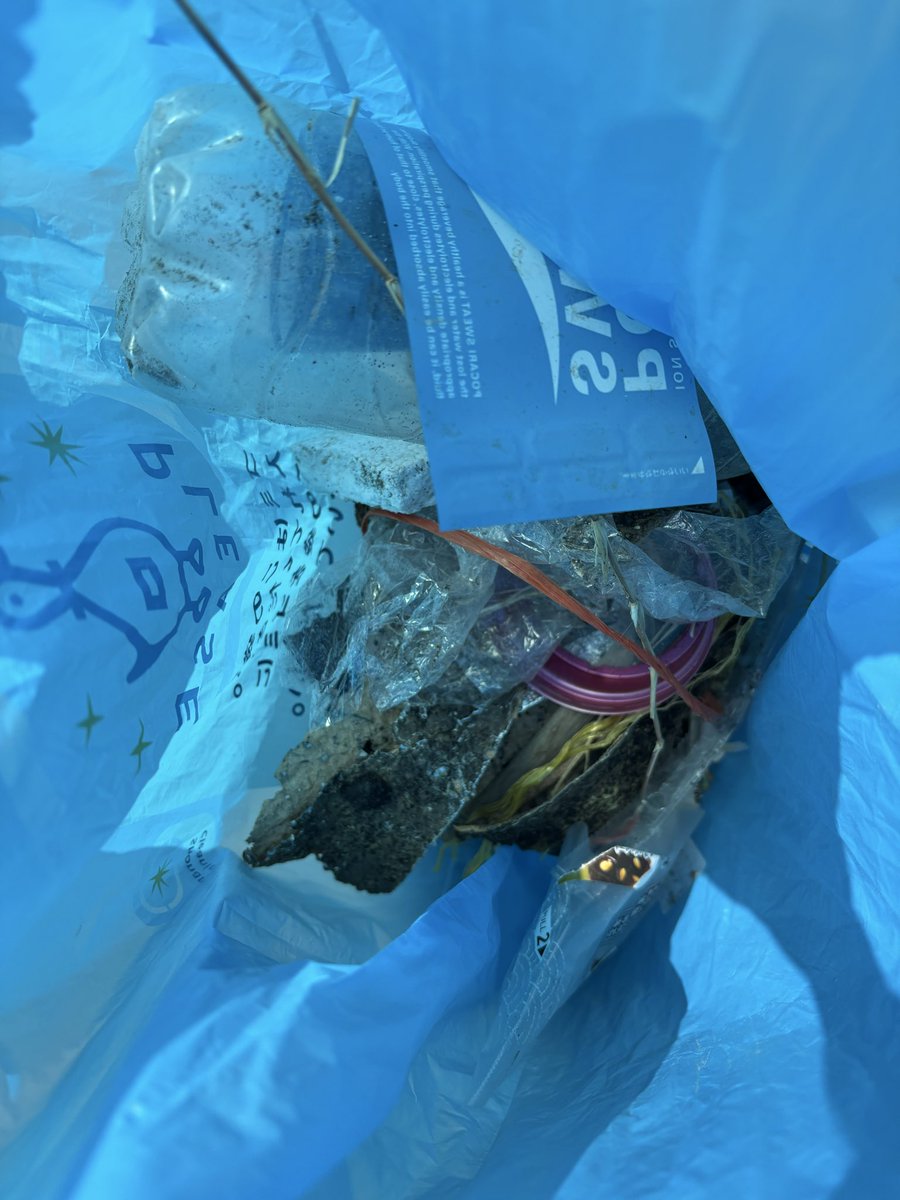 えのすいECOデー参加してきました！