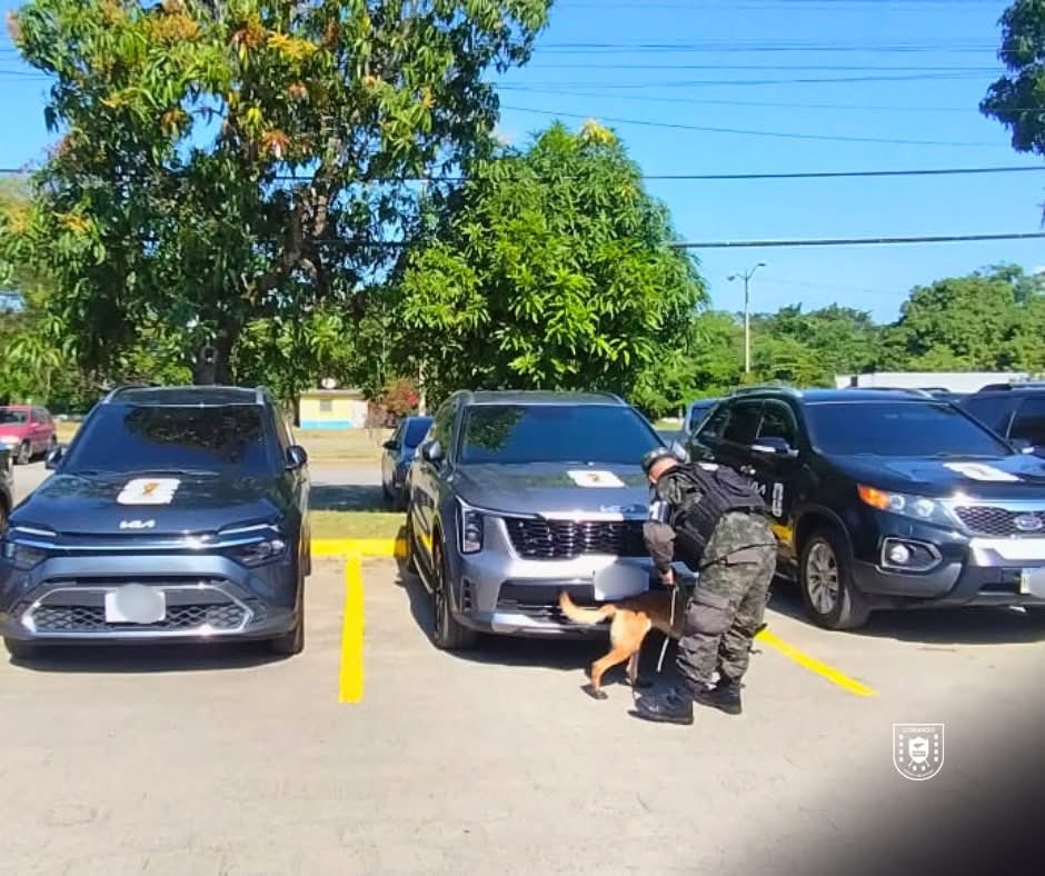 PMOPHN's tweet photo. 🐕🚨 #OperacionesCaninasPMOP | Binomios especializados refuerzan seguridad preventiva

Las #FFAAHN, a través del #1BCPMOP, realizaron inspecciones en sectores estratégicos con binomios especializados en detección de explosivos.

El trabajo técnico de los canes permite detectar de forma rápida y segura artefactos o sustancias peligrosas, fortaleciendo la capacidad operativa de la #PMOP y reduciendo riesgos para la población.

#PMOPHN