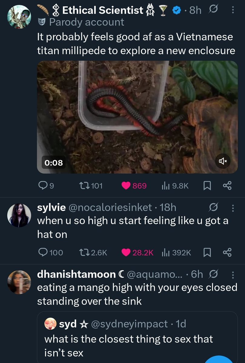 Tl is really good rn