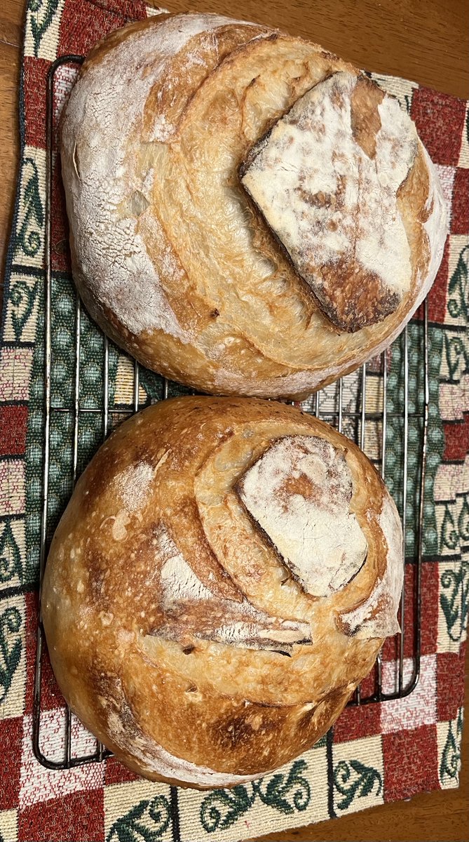 Lisa❣️920 tweet media