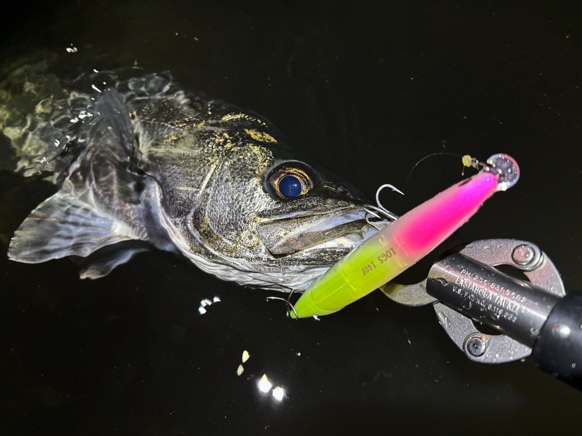 岡山名産のガリガリ君 前までログズ124の方が好きだったけど、最近は