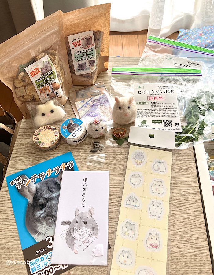 はむちーず🐹ちひろ (@hamchiis) / Posts / X