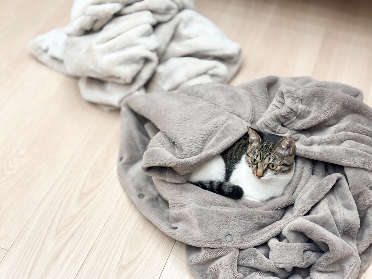 お気に入りだったのにごめんね… 