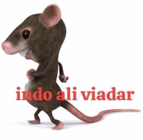 MDs tudo q eu precisava hj era uma muvuca, glitter, dança e bateção de leque posso dormir em paz agora