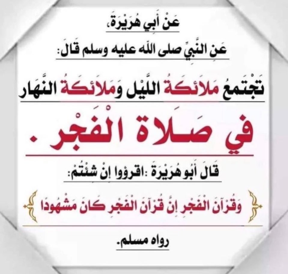 دانة العبدلي🇰🇼 tweet media