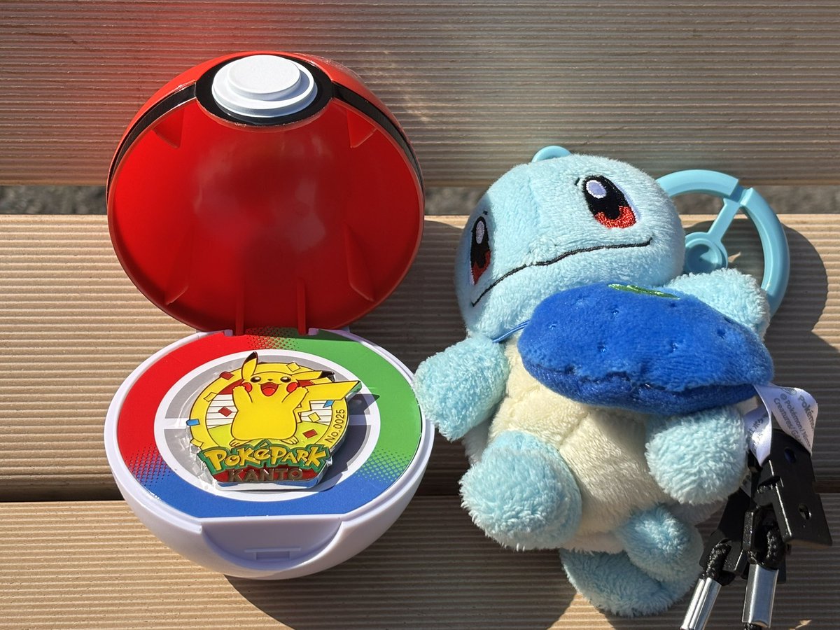 ポケパーク ピンズ 交換 出）ピカチュウ 求）カメックス 本日（2/15 
