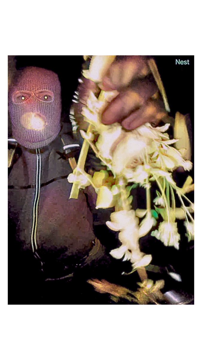 Project Liberty tweet media