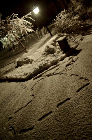 Frank On This Day tweet media