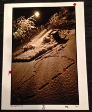 Frank On This Day tweet media