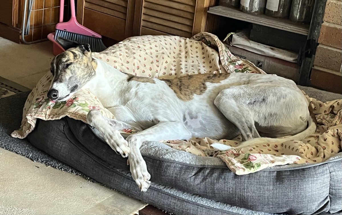 Todd John Gray tweet media