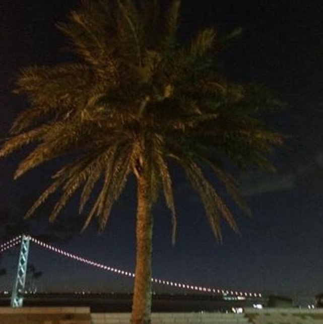 Ines431's tweet image. 悲しい食べ物 👩‍⚖️