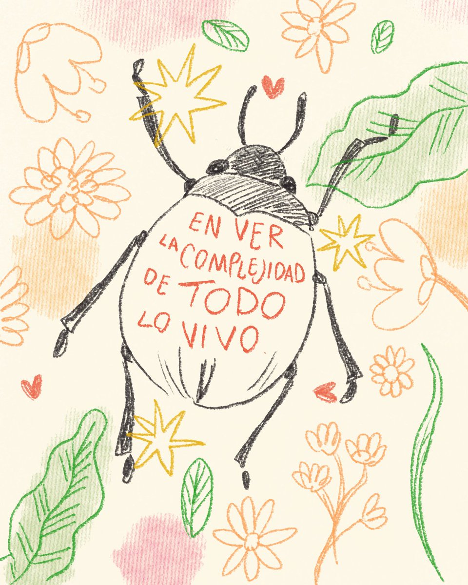 Conexiones Climáticas tweet media