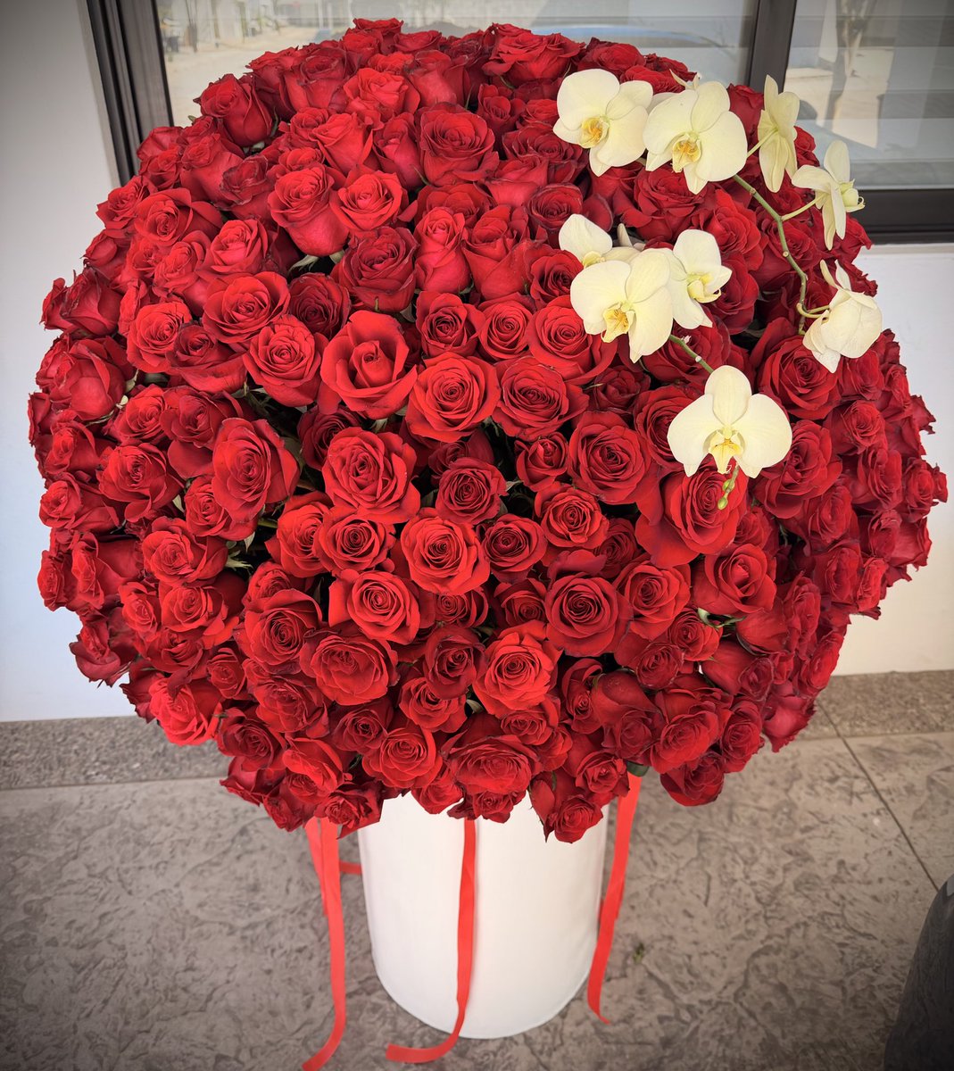 boshbosh tweet media