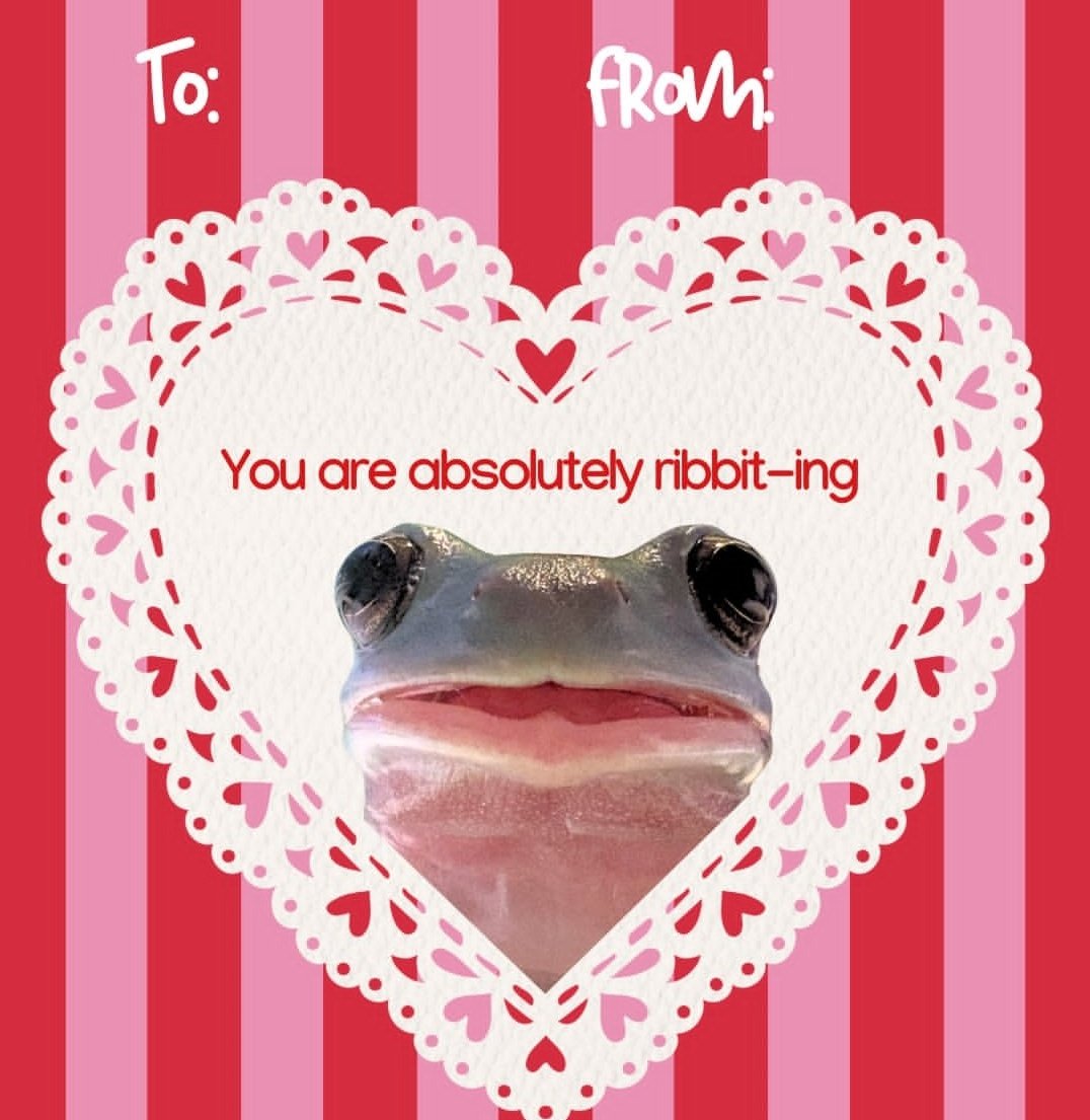 No Context Frogs (@nocontextfrogs) on Twitter photo 