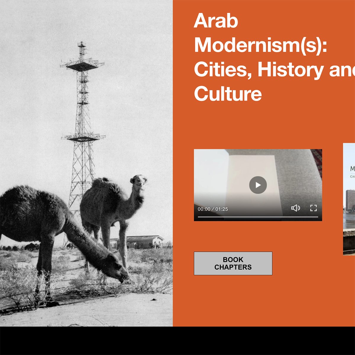 yasser elsheshtawy tweet media