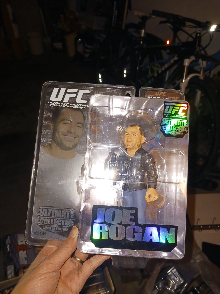 Roaring Hammy 🏇🌹 tweet media