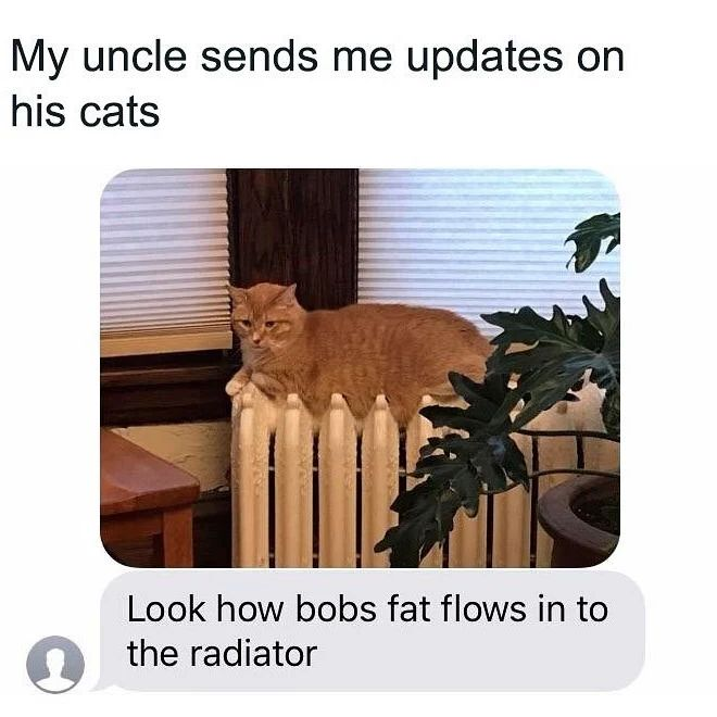PunchingCat's tweet photo. https://t.co/FydzRSiHI4