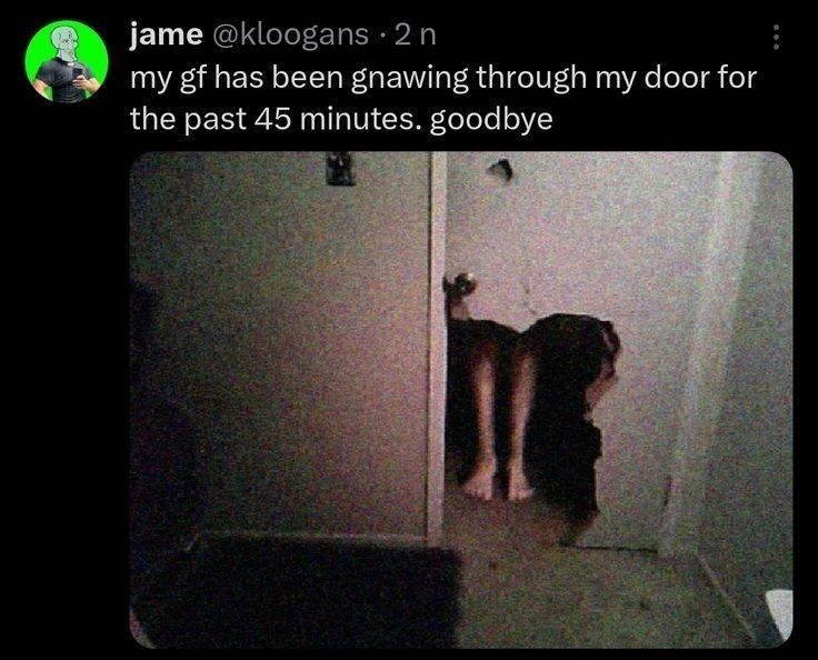 Internet Slop (@gimmickslop) on Twitter photo 