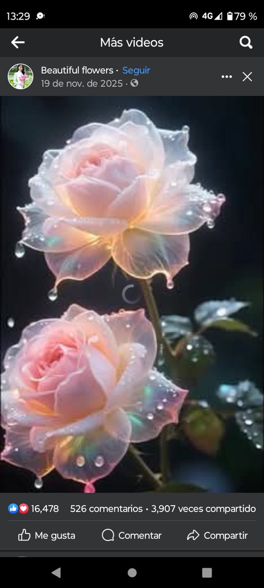 Feliz día del Amor a mi familia, las que tengo a mi lado y las que están lejos, a las que aunque no nos unen lazos de sangre somos como familia porque la vida nos unió y a mis compañeros de trabajo con los que comparto la mayor parte del tiempo y los desafíos de estos tiempos.